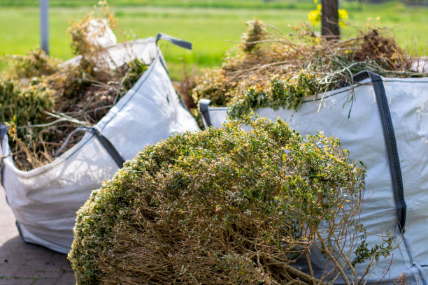 Best Local Junk Hauling  in Woodcliff Lake, NJ